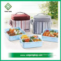 Polyester Promotional Outdoor Cans Wine Lunch Insulated Cooler Bag